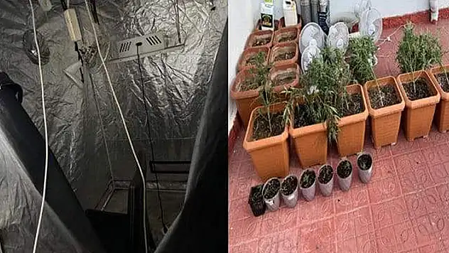 Evine iklimlendirme sistemi kurup kenevir yetiştiren şüpheli yakalandı
