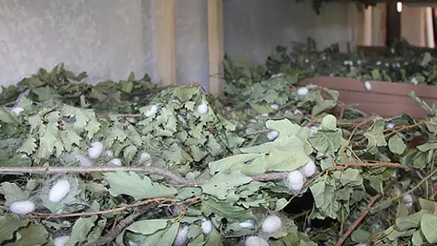 Evinin boş odası 42 günde 3,500 TL kazandırdı