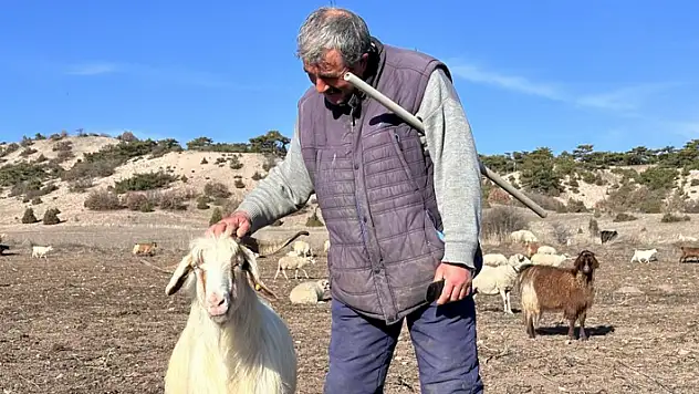 Evladı gibi gördüğü hayvanları seslenerek yanına çağırabiliyor
