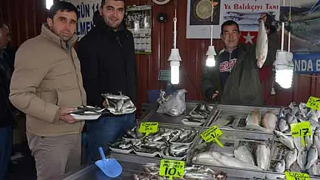 Fatsa'da balık fiyatları hareketli