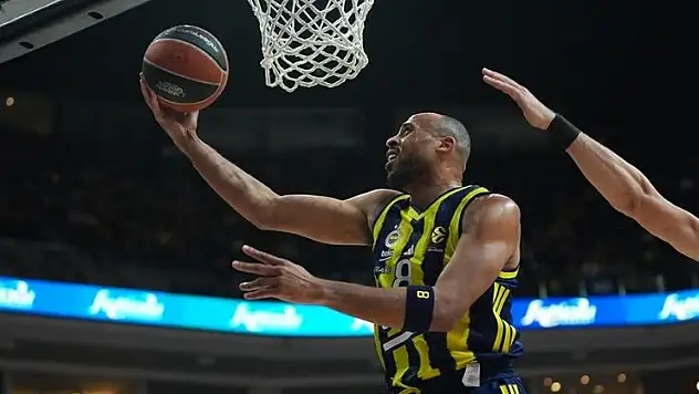 Fenerbahçe Bologna'ya konuk olacak