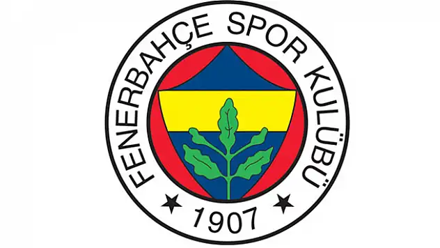 Fenerbahçe'de Nani ve Souza takımdan ayrı çalıştı