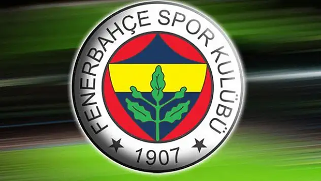 Fenerbahçe Şampiyonlar Ligi'nde