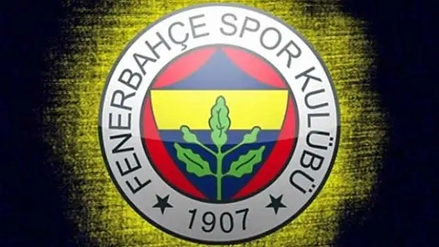 Fenerbahçe UEFA'dan kabul aldı