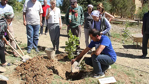 Ferhan Şensoy'un adı Konya'daki Büyük Ustalar Çınarlığı'nda yeşerecek

