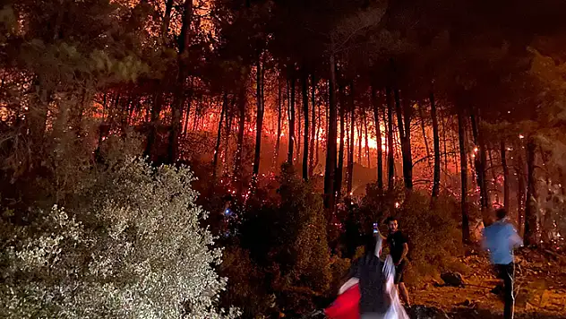 Fethiye'de orman yangını