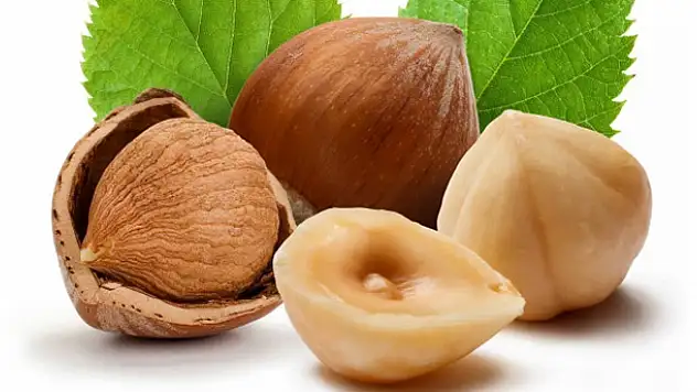 Fındık ihracatı geriledi