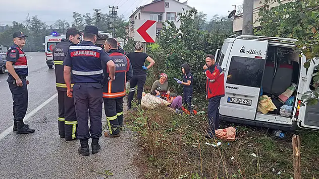 Fındık işçilerini taşıyan minibüs direğe çarptı: 5'i çocuk 17 yaralı

