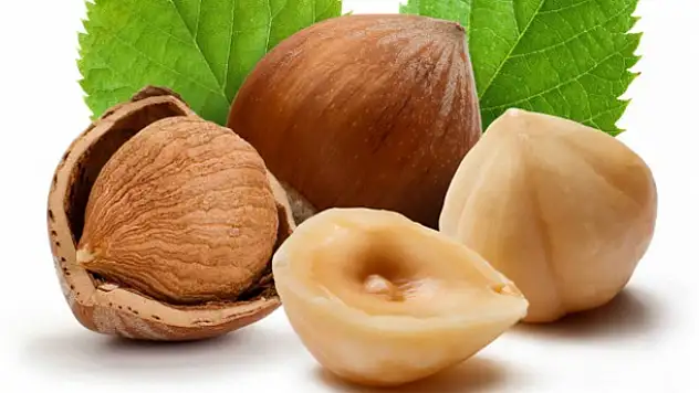 Fındık Rusya krizinden etkilendi