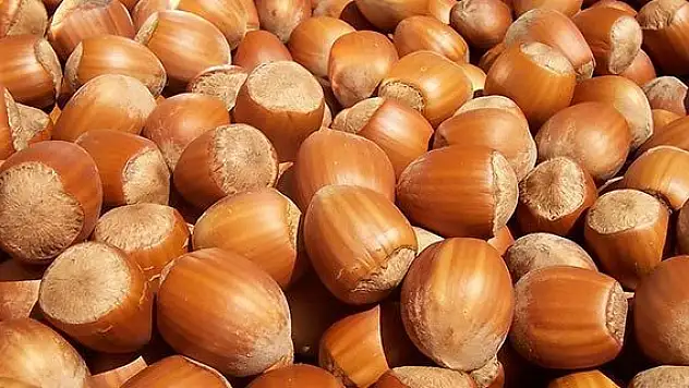 Fındıkta alan bazlı destek