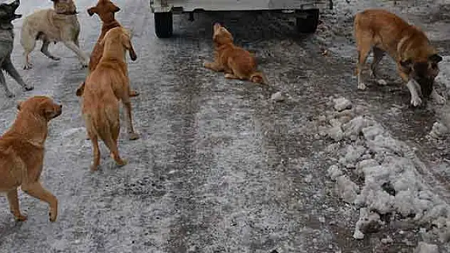 Fırıncıdan her gün insanlık dersi