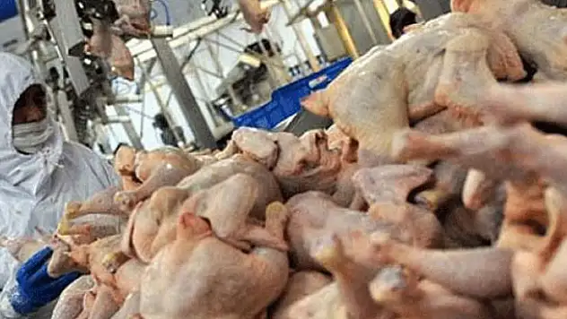 Fiyatı bir anda çakıldı… 20 TL'den 11 TL'ye düştü!