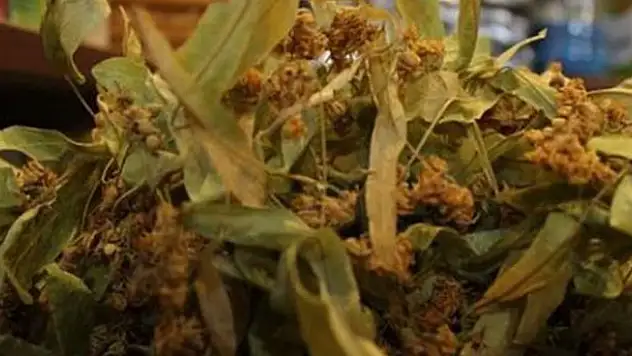 Fiyatı cep yakıyor! Gram gram satılıyor