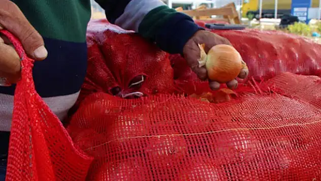 Fiyatlarıyla yaza damga vurmuştu... Şimdi ise yolda bir lira!