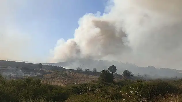 Foça'da eski çöp döküm alanında çıkan yangın makiye sıçradı
