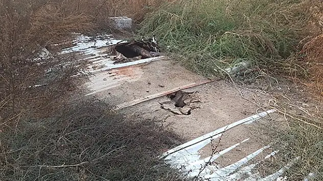 Foseptik kuyusuna düşen çocuk hayatını kaybetti