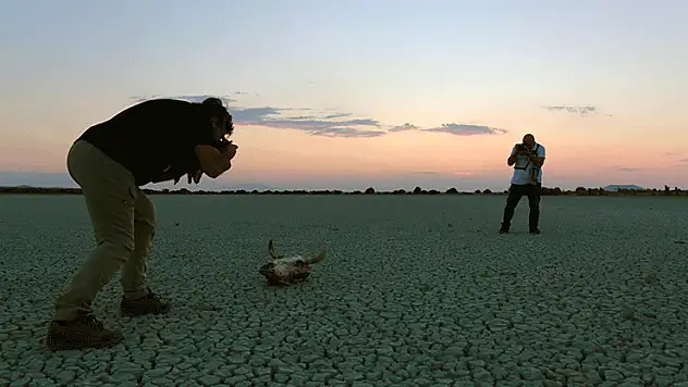 Fotoğrafçılar kuruyan o göl için yeniden kuşları görüntülemek istiyor