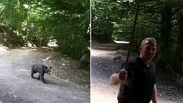 Fotokapanlara poz verip, memleketlerine selam gönderdiler

