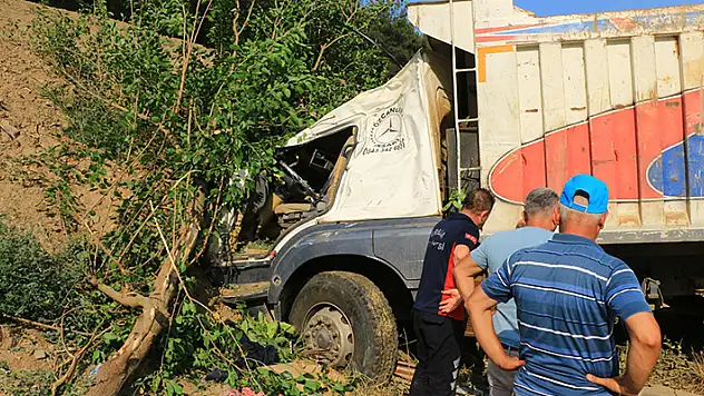 Freni boşalan kamyon yol kenarındaki ağaçlara çarparak durabildi: 2 yaralı
