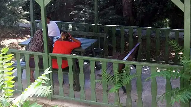 Fuhuş yapan kadınlardan ilginç savunma