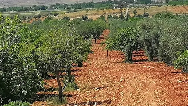 Gaziantep Şahinbey'de icradan satılık tarla