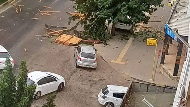 Gaziantep'te şiddetli rüzgar çatıları uçurdu, ağaçları kökünden söktü
