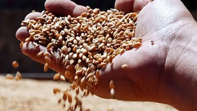 GDO kullanımı yeni değil