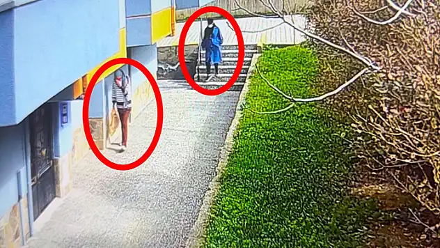 Gelin-kaynana el ele verdi, evlere girerek hırsızlık yaptılar
