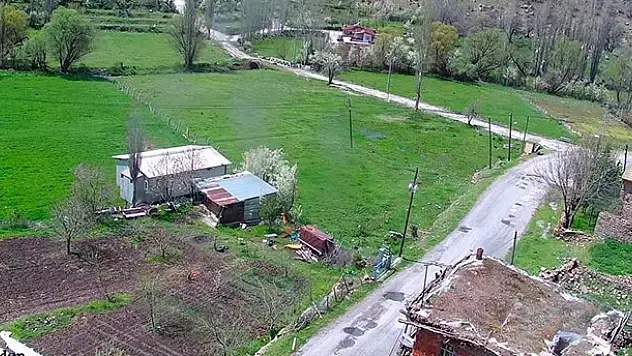 Gidemedikleri köylerine kamera yerleştirip özlem gideriyorlar