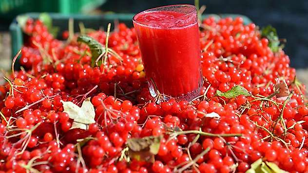 'Gilaburu'nun faydaları bilimsel olarak kanıtlandı