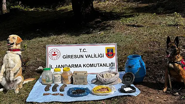 Giresun'da terör örgütünün kullandığı sığınak kullanılmaz hale getirildi
