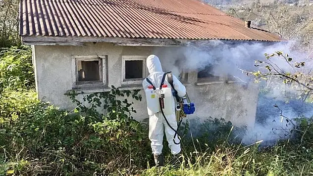 Giresun'da kahverengi kokarcayla mücadele dört koldan devam ediyor