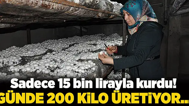 Girişimci ev hanımının yüzünü kültür mantarı güldürdü