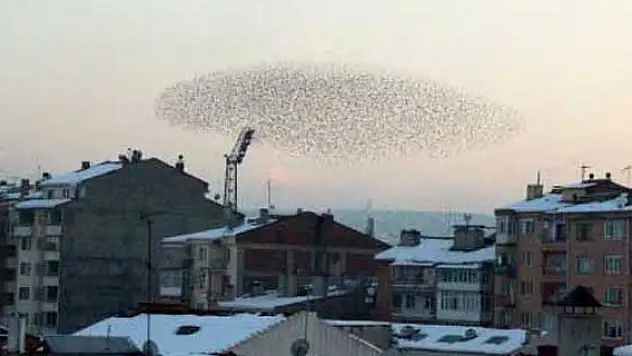 Gökyüzünde şölen var!