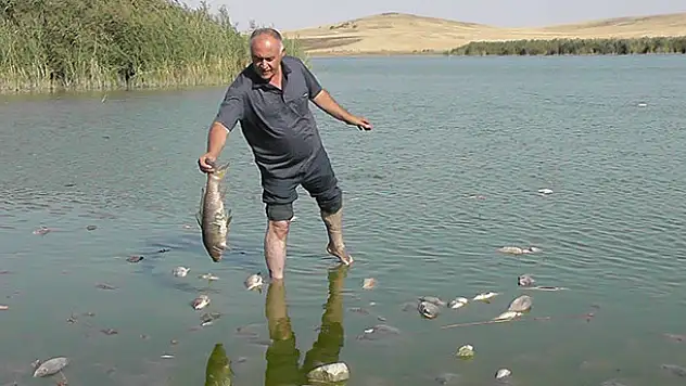 Gölde korkutan balık ölümleri!