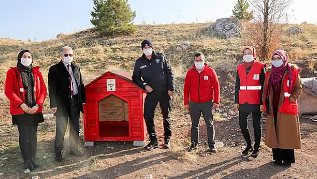 Gönüllülerce Meram'a yeni kedi, köpek ve kuş evleri kazandırılıyor
