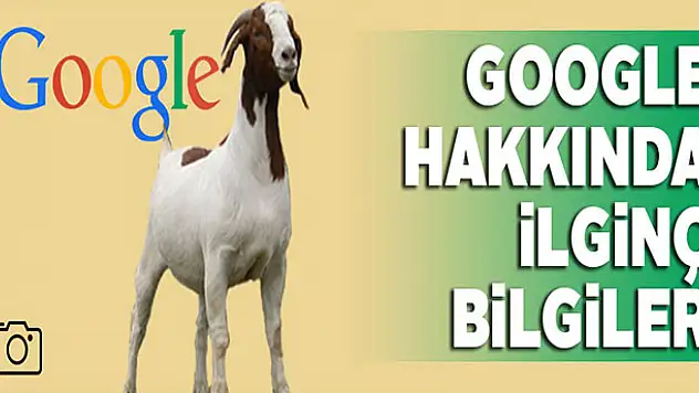 Google ile ilgili ilginç bilgiler