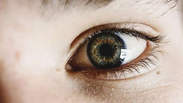 Görme bozukluklarının tedavisi için retina üretildi