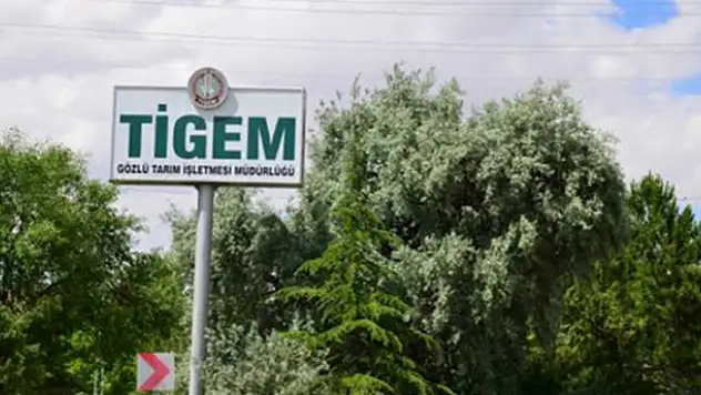 Gözlü Tarım İşletmesi Müdürlüğü, zirai ilaç satın alacak