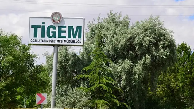 Gözlü Tarım İşletmesi yem katkı maddesi satın alacak