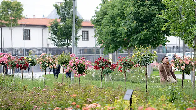 Güller Şehri Konya