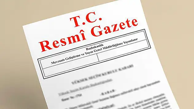 Gümrük alacaklarının yeniden yapılandırılması için 30 Hazirana kadar başvurulabilecek