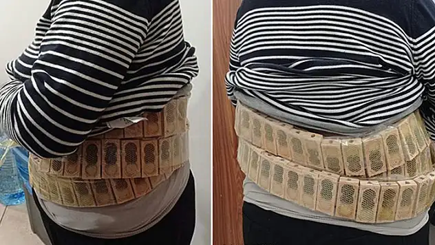 Gümrük kapısında yolcunun belinde 1100 bal arısı ele geçirildi