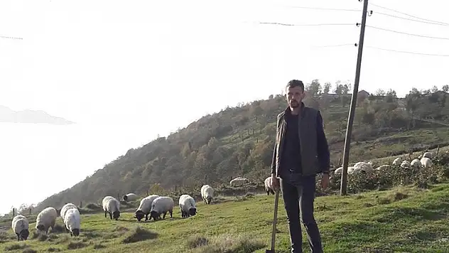 Gümüşhane'de kenenin ısırdığı çoban öldü