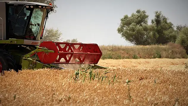 Gururlandıran rakamlar! Tarım başkenti Konya, 13 üründe üretim miktarı olarak Türkiye'de ilk sırada
