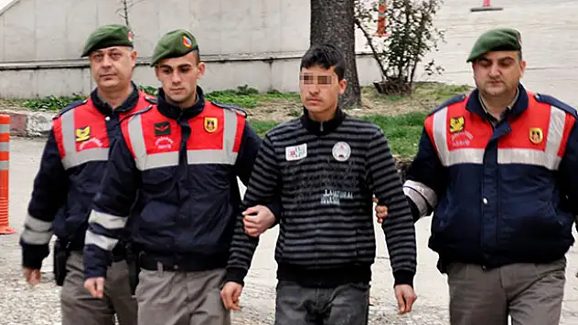 Güvenlik kamerasına takılan araç hayvan hırsızını yakalattı
