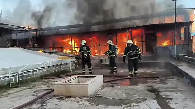 Güvercin otelinde çıkan yangında 300 kuş öldü

