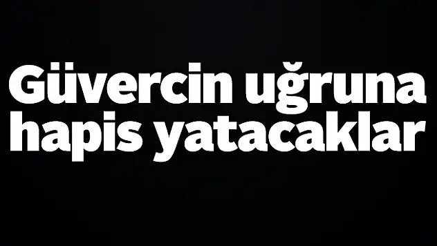 Güvercin uğruna hapis yatacaklar