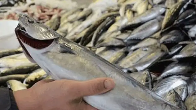 Güzel haber geldi! Fiyatı 10 liraya düştü