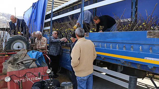 Hadim'de çiftçilere fidan dağıtıldı